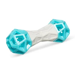 Totally Pooched Flex N' Squeak Barbell Dog Toy