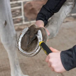 Greenhawk Equestrian Sport Ultimate Hoof Pick