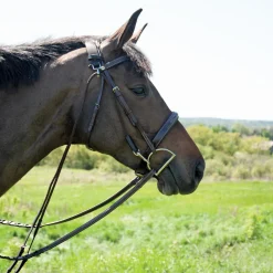 Val du Bois Chambon Martingale