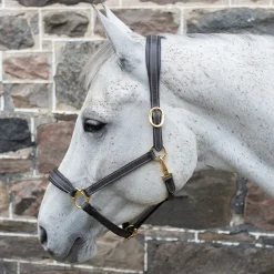 Val du Bois Comfort Soft Padded Leather Halter