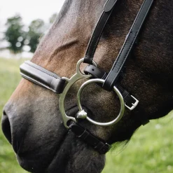 Val du Bois Controller Noseband