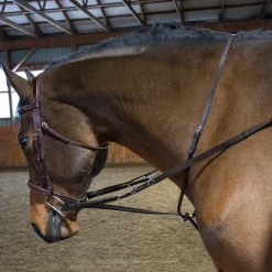 Val du Bois German Martingale