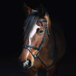 Val du Bois Padded Dressage Bridle W/ Removable Flash