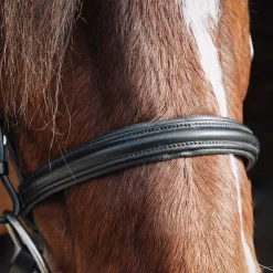 Val du Bois Padded Dressage Bridle W/ Removable Flash