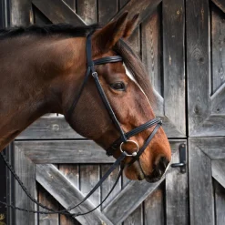 Val du Bois Padded Dressage Bridle W/ Removable Flash