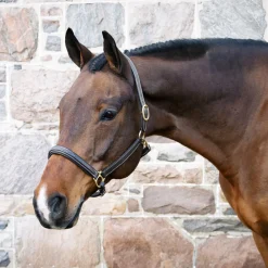 Val du Bois Padded Fancy Stitched Halter