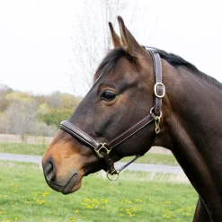 Val du Bois Padded Fancy Stitched Halter