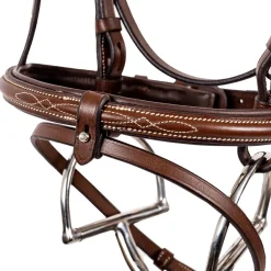 Val du Bois Padded Fancy Stitched Bridle W/ Removable Flash