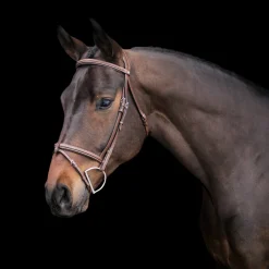 Val du Bois Padded Fancy Stitched Bridle W/ Removable Flash