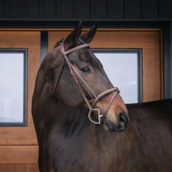 Val du Bois Padded Fancy Stitched Bridle W/ Removable Flash