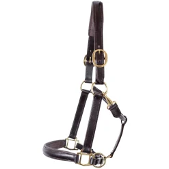 Val du Bois Padded Leather Halter