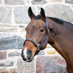 Val du Bois Synthetic Leather Halter
