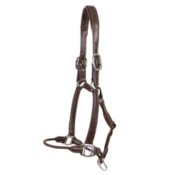 Val du Bois Training Vegan Leather Halter