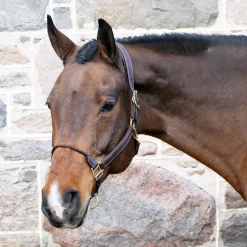 Val du Bois Training Vegan Leather Halter