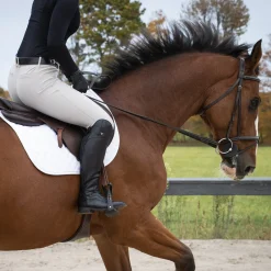 Vastana Stivali Avvio Field Boots