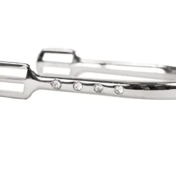 Waldhausen Crystal Spur Set 10 mm