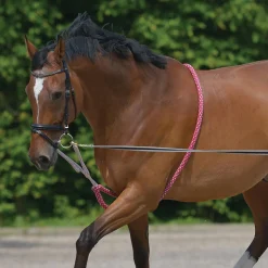 Waldhausen Lunging Aid