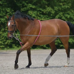 Waldhausen Lunging Aid