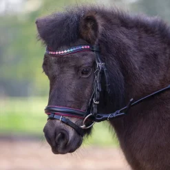 Waldhausen Pinky Star Pony Bridle