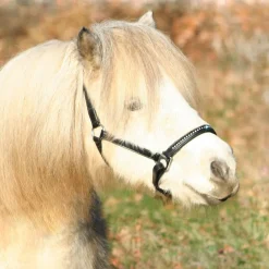 Waldhausen Star Diamond Leather Halter