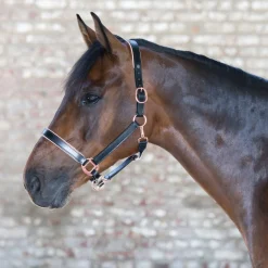 Waldhausen X-Line Rose Gold Leather Halter