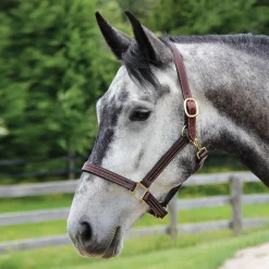 Weaver Leather Halter W/ Snap